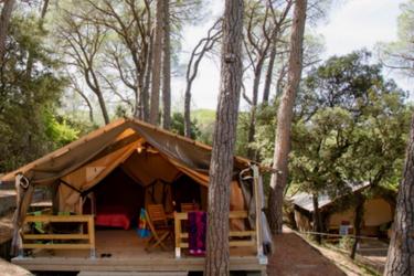 5-persoons Safaritent Victoria Lodge (no sanitary facilities, water or heating) (max 4 adults)