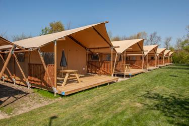 6-person Safari tent