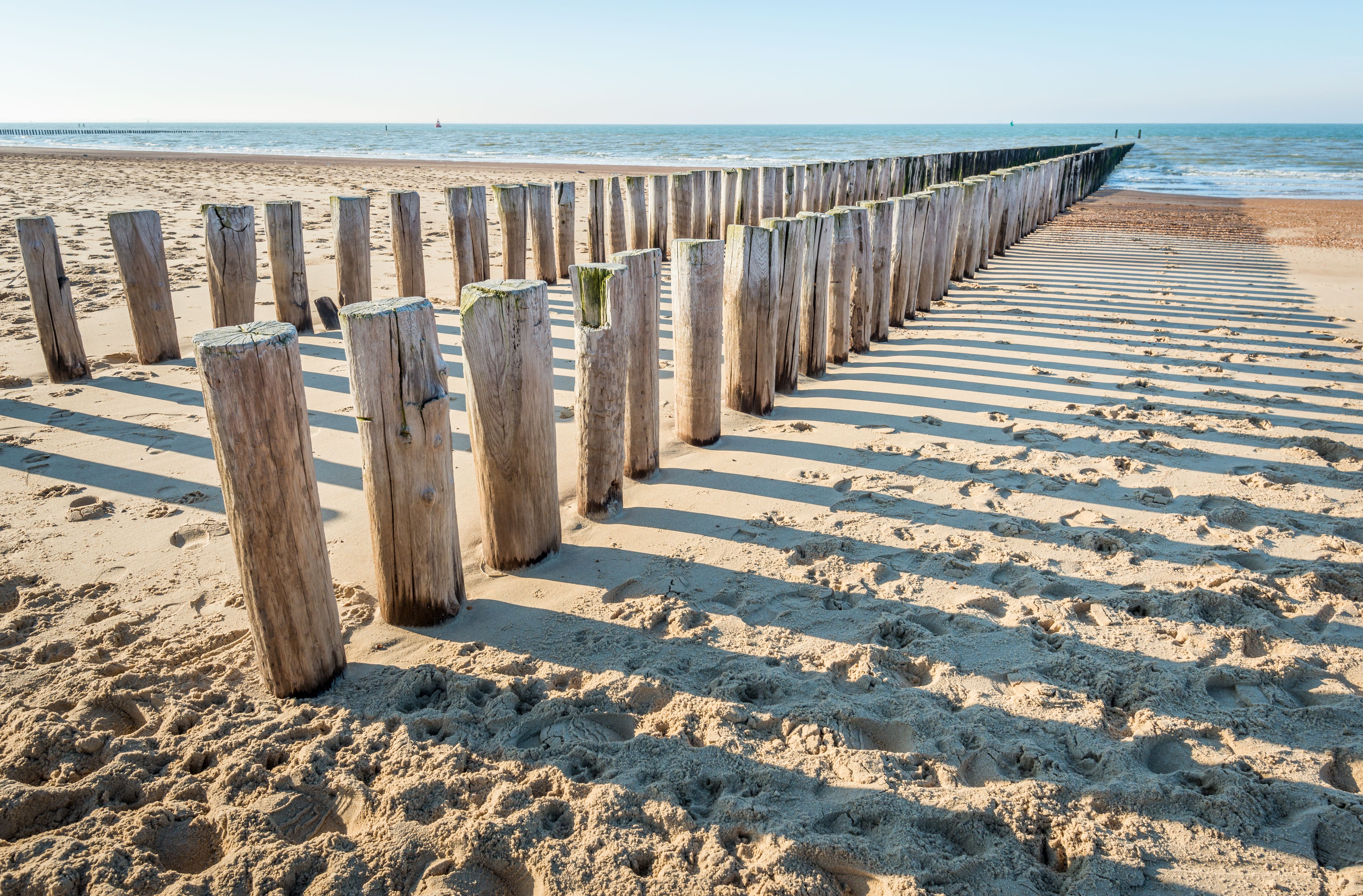 Nederlandse kust