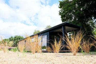 4-persoons Lodge Zandlodge