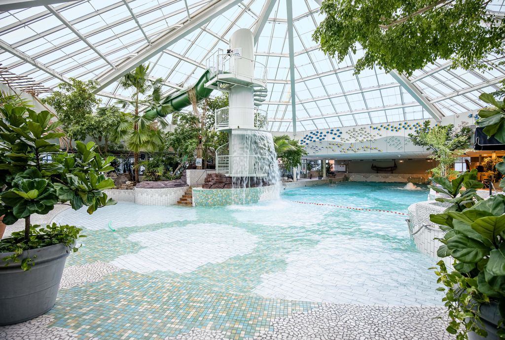 Center Parcs Park Zandvoort In Zandvoort Les Meilleures Offres Center Parcs Park Zandvoort In Zandvoort Les Meilleures Offres