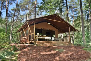 6-personne(s) tente Veluwelodge