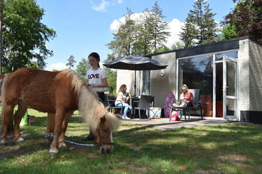 6-personne(s) bungalow Pony