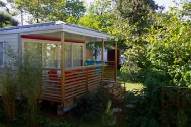 4-persoons Stacaravan BALTIC COTTAGE (max 2 adults)