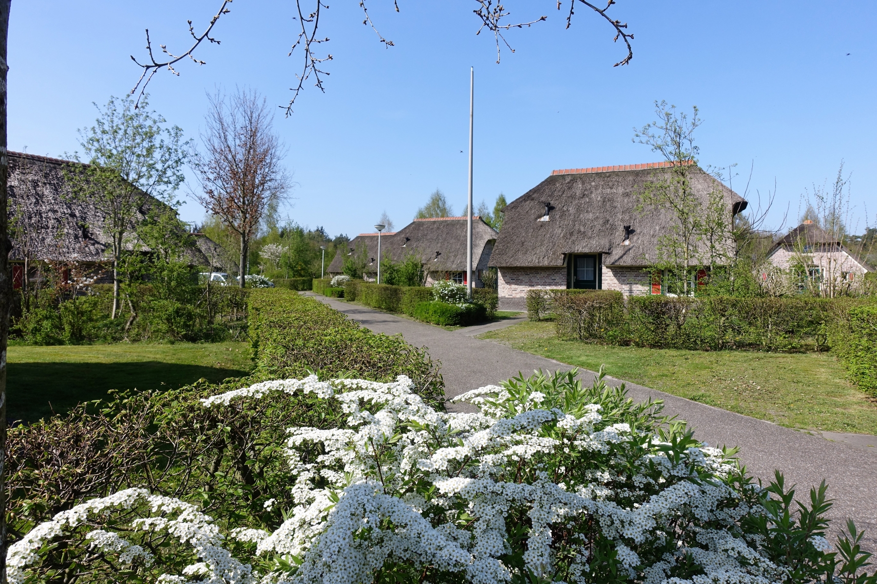 Aanbieding bungalow Twente 🏕️ Vakantiepark De Lourenshoeve