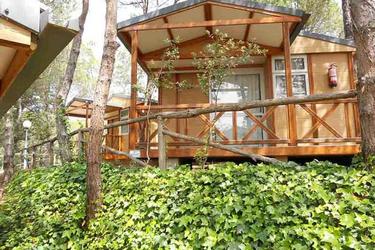 4-persoons bungalow Vintace AC (max 2 adults)