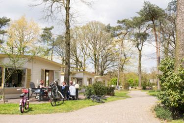 6-Personen Chalet +