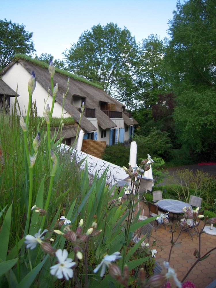 Le Petit Coq Aux Champs.