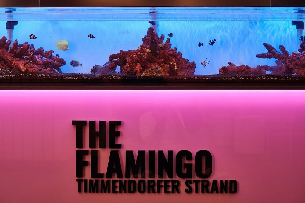 THE FLAMINGO