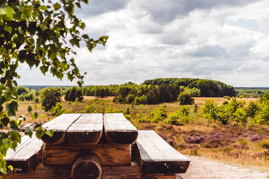 roompot-bospark-de-schaapskooi