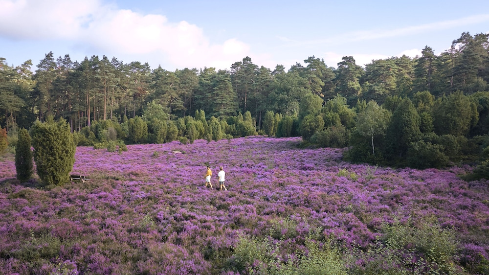 Hotel Bispinger Heide by Center Parcs