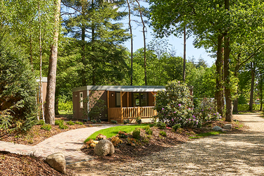 6-persoons bungalow Boslodge Luxe
