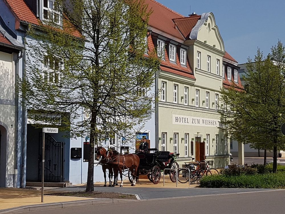 Hotel zum Weissen Ross.