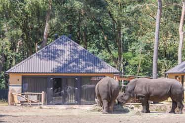 6-persoons vakantiehuis Savanne Lodge