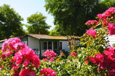 4-persoons Chalet YUCCA